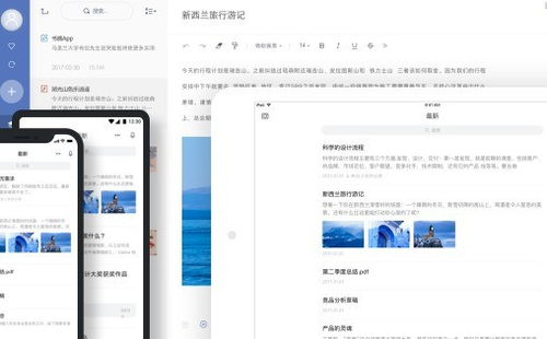 2024年網易有道軟件排行榜、免費試用技巧與設計開發趨勢全解析